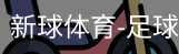 新球体育免费版